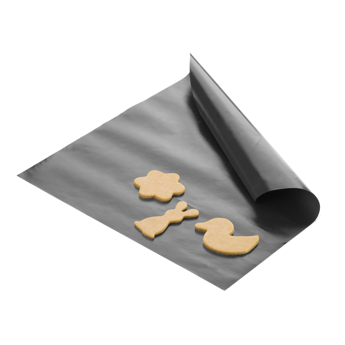 slide-image
