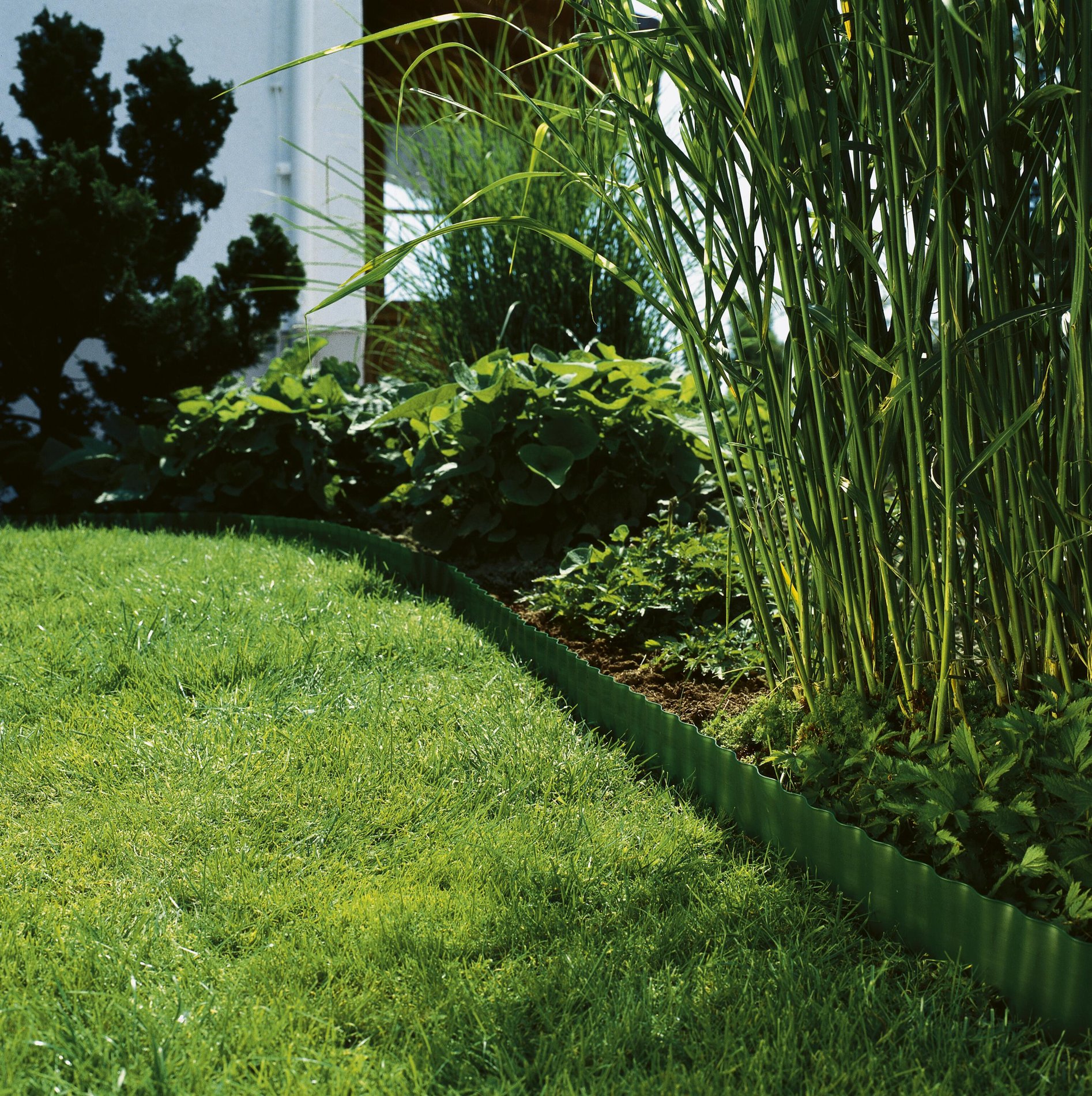 slide-image