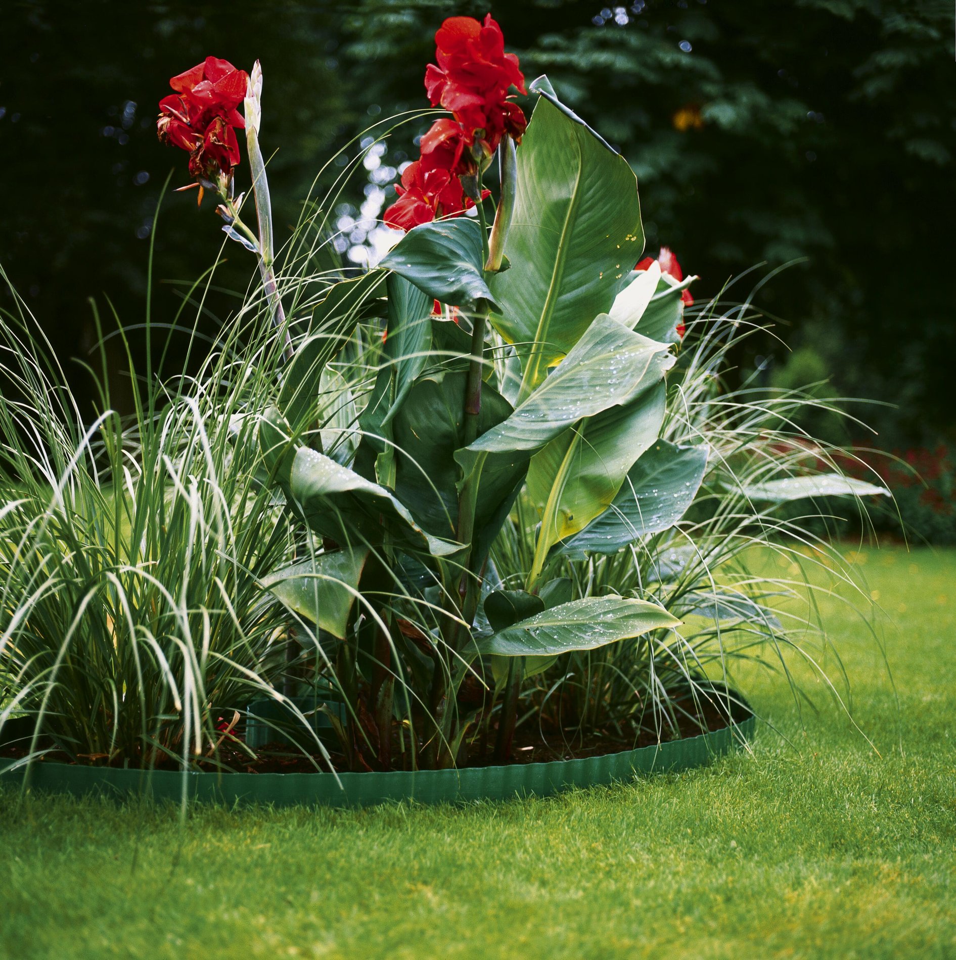 slide-image