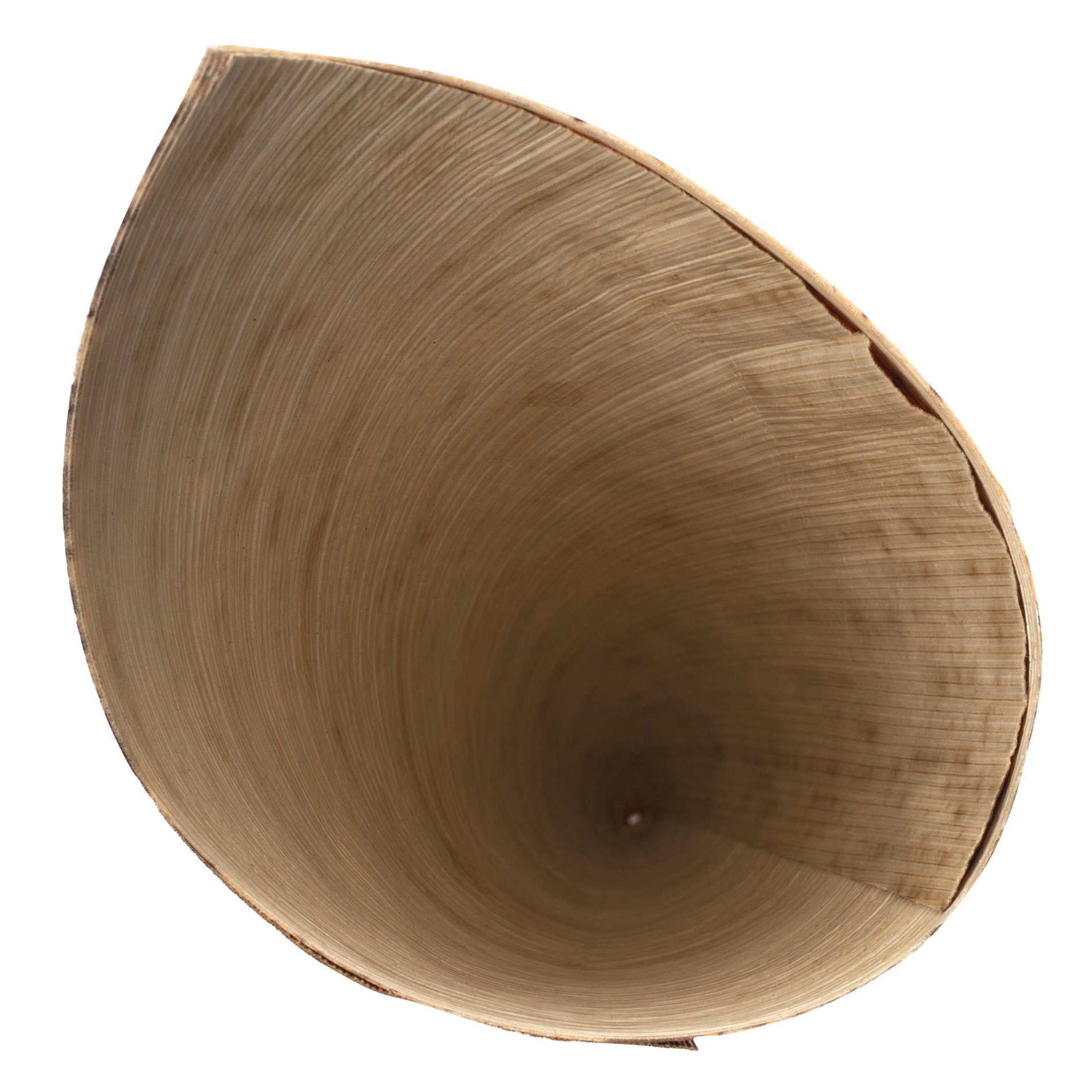slide-image