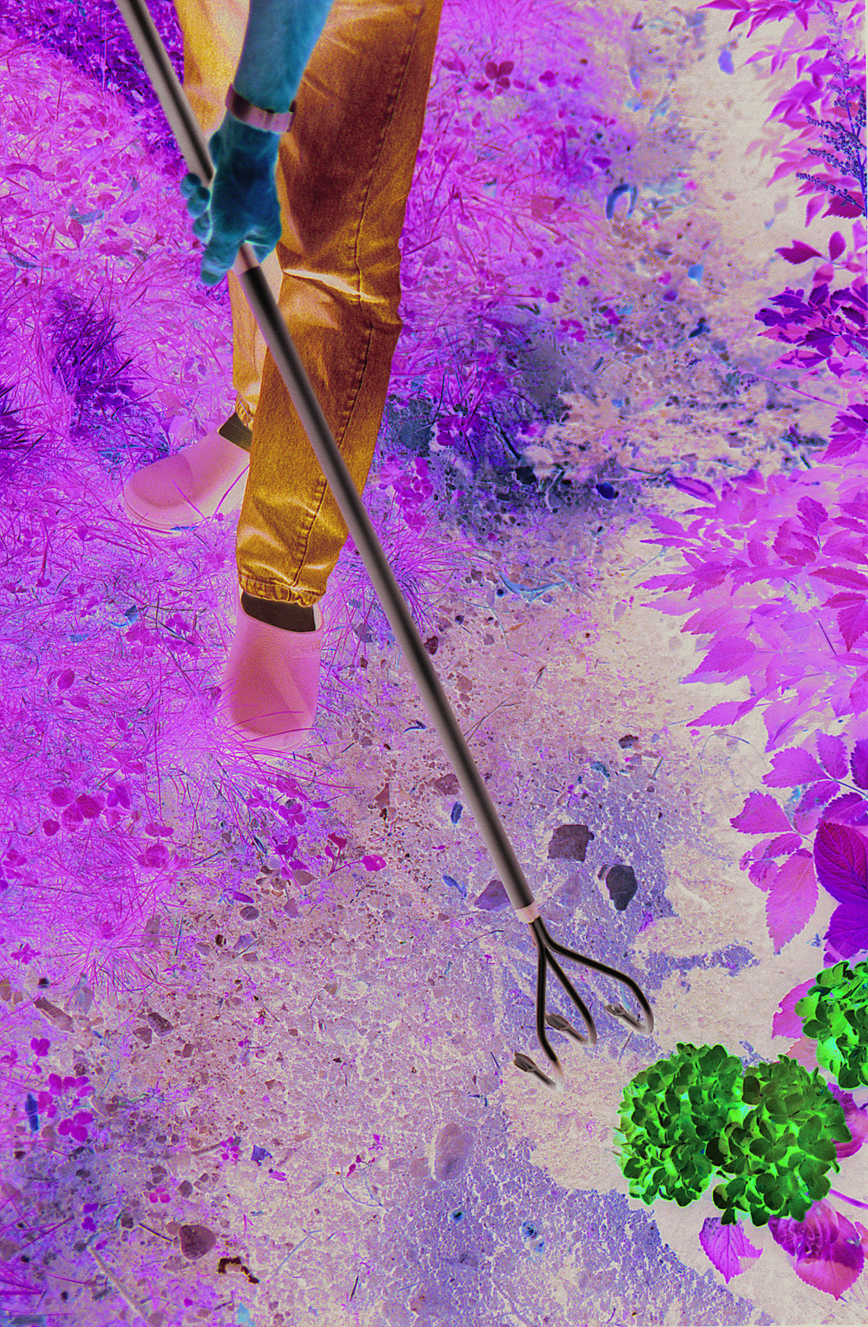 slide-image
