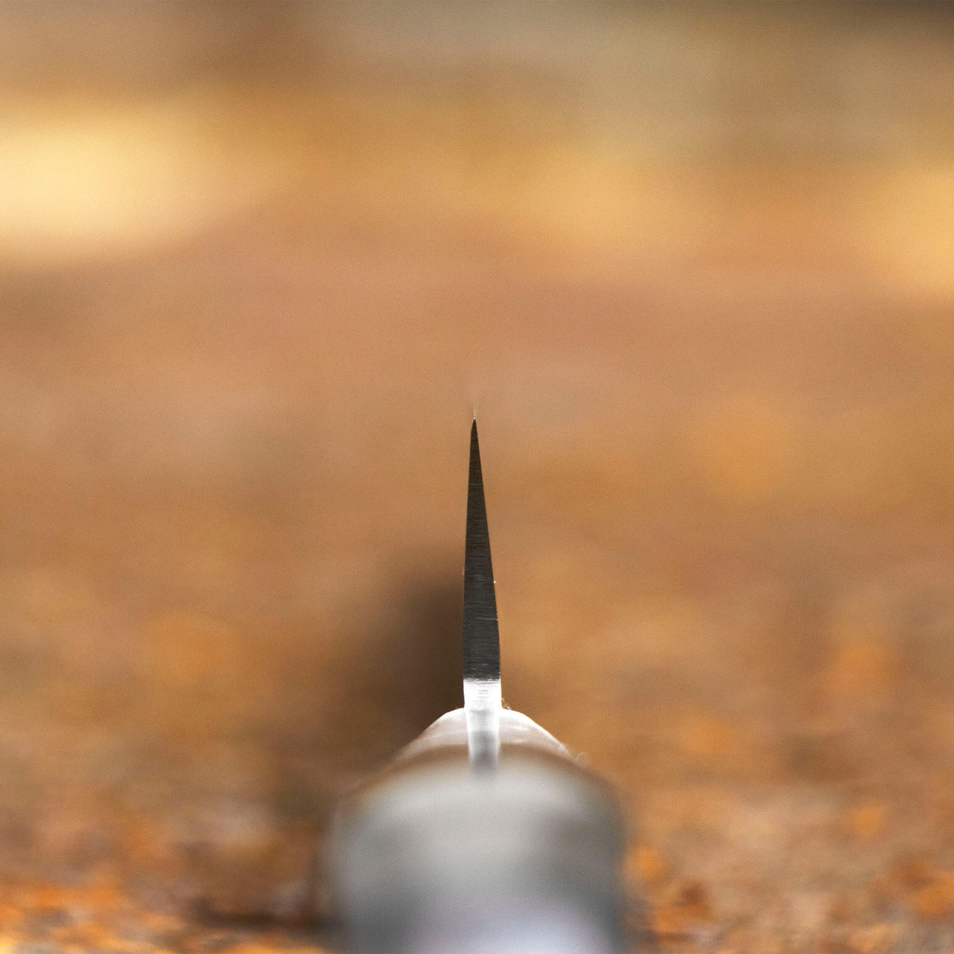 slide-image